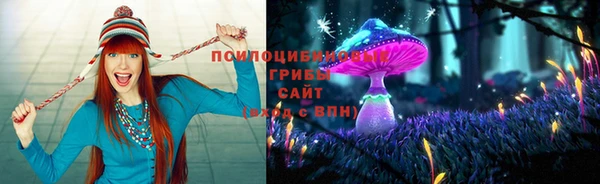 крисы Алзамай