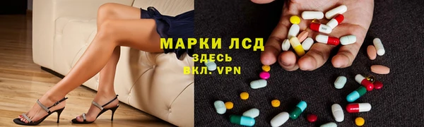 крисы Алзамай