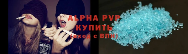 крисы Алзамай