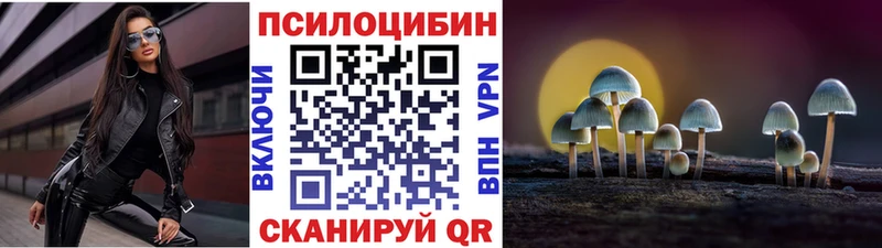 Псилоцибиновые грибы прущие грибы  Дмитриев 