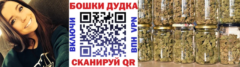 Шишки марихуана сатива Дмитриев